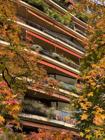 Detail of a residential building in Barcelona, Spain, during autumnの写真素材