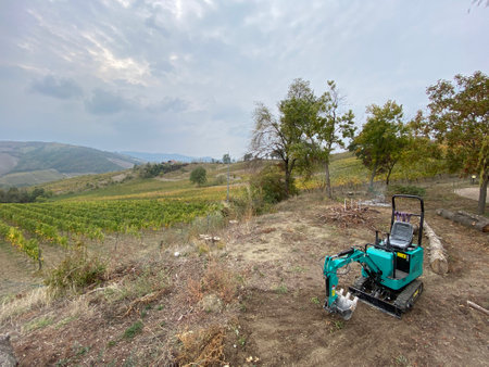 Vineyard in the Chianti region, Tuscany, Italyの写真素材