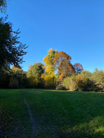 Autumn landscape in the park with colorful trees and blue sky.の写真素材