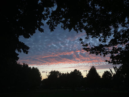 Sunset in the city park. Beautiful sky with clouds and trees.の写真素材
