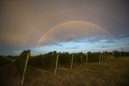 Double rainbow on a country landscape.の写真素材