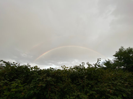 Rainbow in the sky over the forest, closeup of photoの写真素材