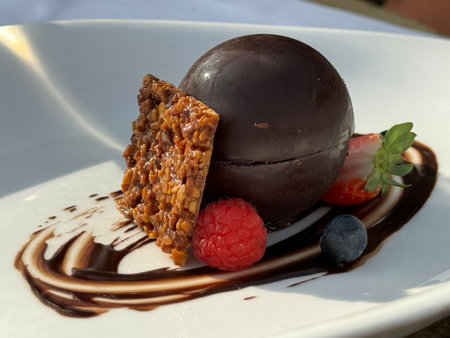 Chocolate dessert with strawberries and raspberries on a white plateの写真素材