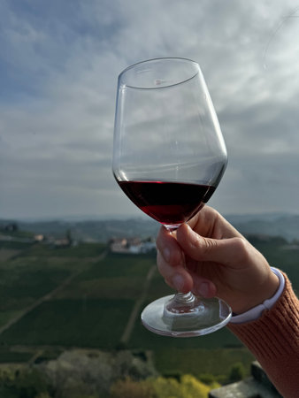 Female hand holding a glass of red wine on a background of the mountainsの写真素材