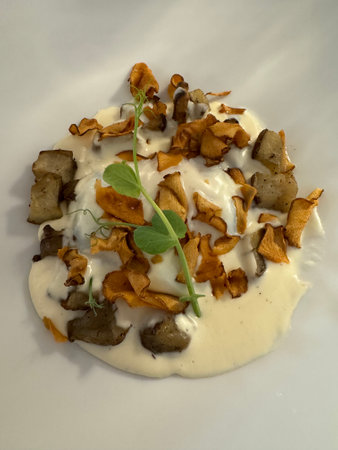 Fried chanterelles with cream sauce on a white plateの写真素材