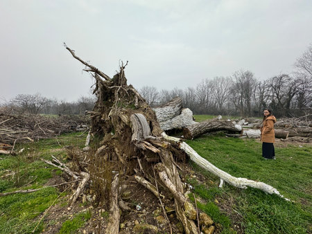 A woman stands next to a fallen tree on a cloudy day.
