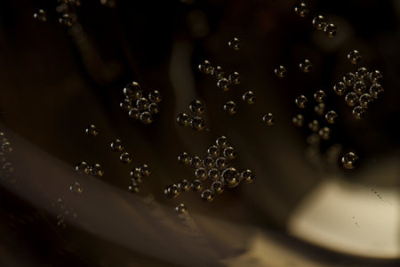Macro shot of Champagne sparkling in a wine glass, background is blurred.の写真素材