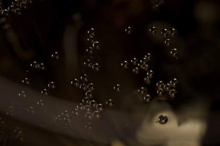 Macro shot of Champagne sparkling in a wine glass, background is blurred.の写真素材