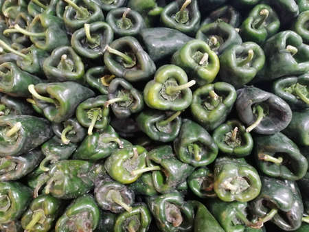 background with poblano peppers from Mexicoの写真素材
