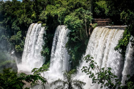 Argentine Iguazu National Park, waterfalls in natureの写真素材