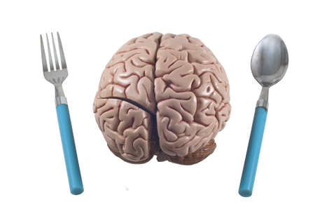 human brain as food with spoon and fork, isolatedの写真素材