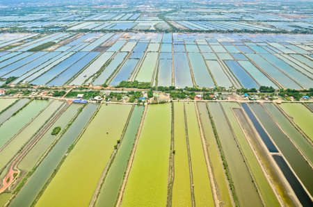 Aerial view of rice field terraces in Thailandの写真素材