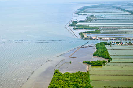 Aerial view of rice field terraces in Thailandの写真素材