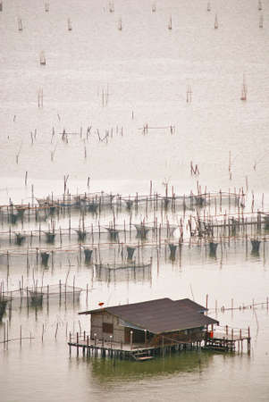The large fish farming net in Songkla lake.の写真素材