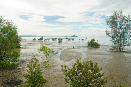 Pakmeng Beach,Trang Thailand