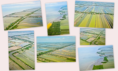 collections of Aerial view of rice field terraces in Thailandの写真素材