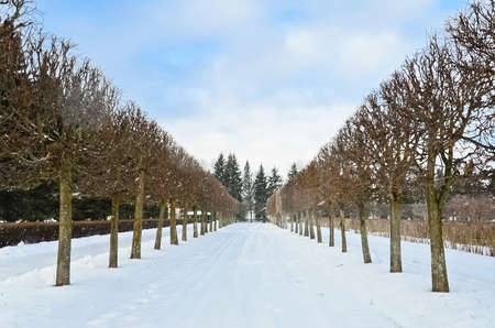 garden in Peterhof, Saint-Petersburg, Russiaの写真素材