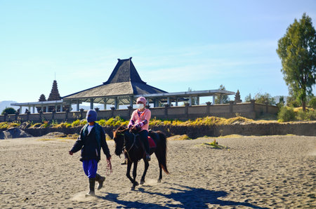 JAVA,INDONESIA-OCT 14 : Tourists hiking and ride the horse to the crater of the volcano at Mount Bromo on October 14,2013 in Java , Indonesia.のeditorial素材