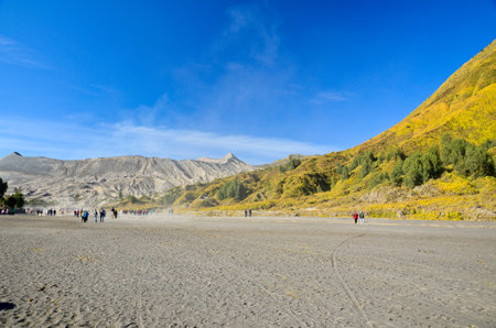 Mount Bromo Volcano, Indonesia