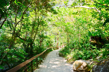 Toroko National park,Taiwanの写真素材