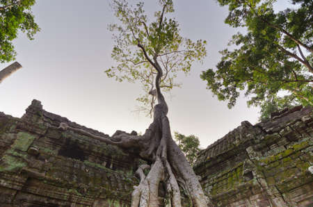 Bayon Temple at Angkor Thom, Angkor, Cambodiaの写真素材