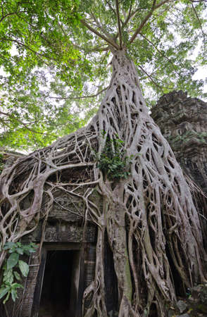 Bayon Temple at Angkor Thom, Angkor, Cambodiaの写真素材