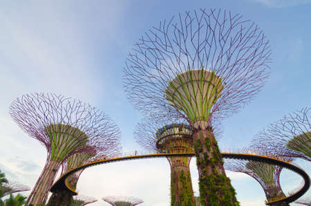Gardens by the Bay, Singaporeのeditorial素材