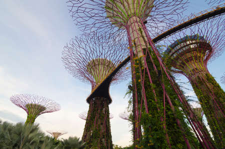 Gardens by the Bay, Singaporeのeditorial素材