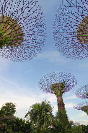 Gardens by the Bay, Singaporeのeditorial素材