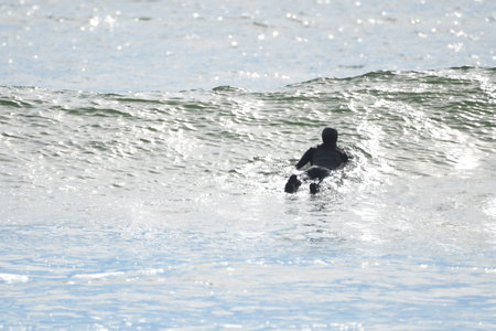 Surfers enjoying good waves at La Push, Washington's First Beach.