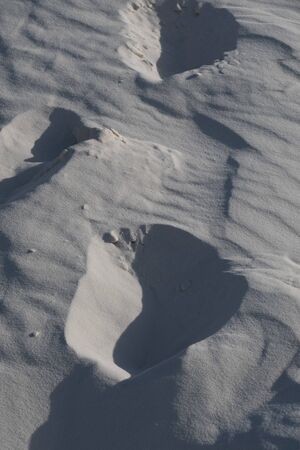 Sunset at White Sands National Monument, Alamogordo, New Mexicoの写真素材