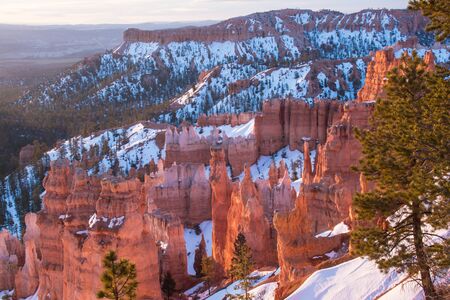 Sunrise at Sunset Point, Bryce Canyon National Park, Utahの写真素材