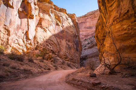 Early morning drive through tol Reef National Parkの写真素材
