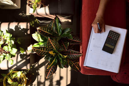 top view of student writing comfortably in a corner with plants and fresh air
