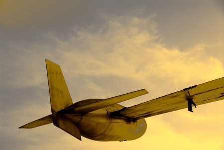 wing