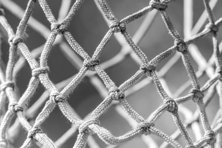 basketball nets