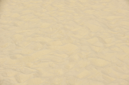 Fine beach sand in the summer sunの写真素材
