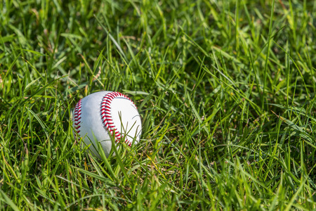 A white baseball on the fresh green grassの写真素材