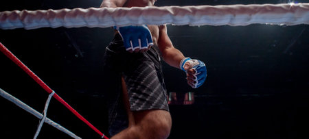 Mixed martial fighters on the ground of arena during competition.  MMA fighter fight on floor ring