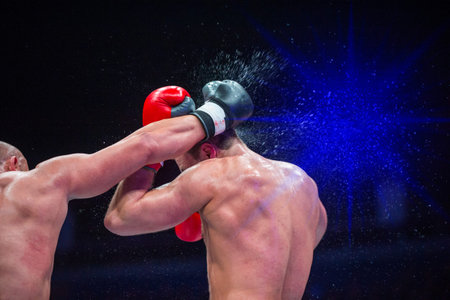 Two professional boxer boxing