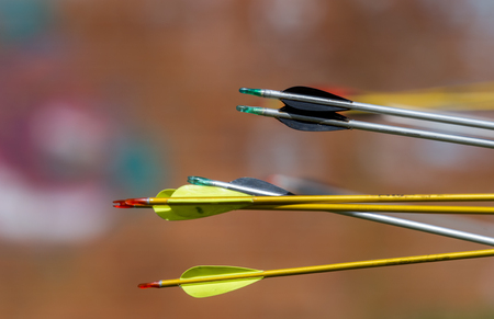 archery arrows on a blur backgroundの写真素材
