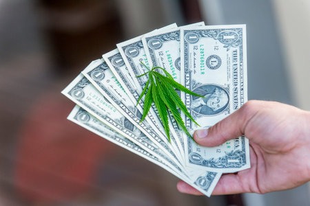 US dollars on the cannabis plant