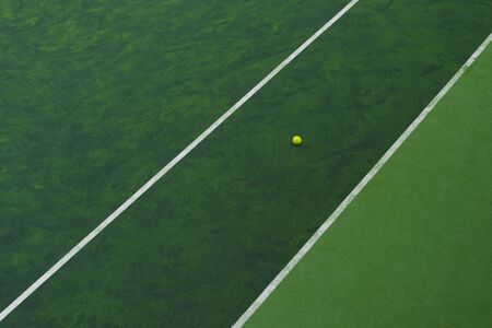 Tennis ball near the line on tennis grass court from top view.の写真素材