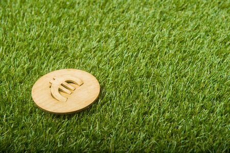 Euro sign of wood isolated on grass backgroundの写真素材