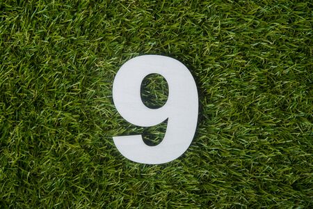 Number nine made of wooden on green grass backgroundの写真素材