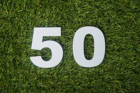 Number fifty made of wooden on green grass backgroundの写真素材