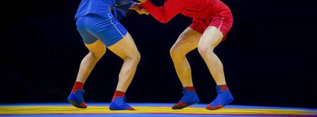 Two men in blue and red sambo wrestling on a yellow wrestling carpet in the gymの写真素材
