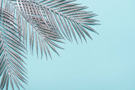 Border frame made of silver Tropical palm leaves on a blue pastel backgroundの写真素材