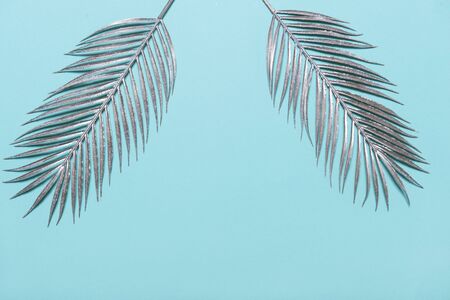 Border frame made of silver Tropical palm leaves on a blue pastel backgroundの写真素材