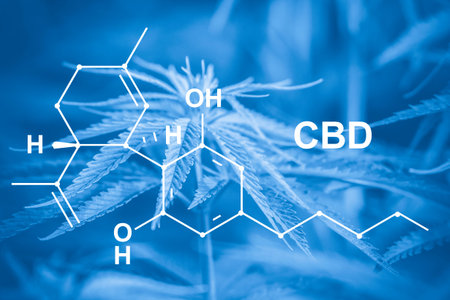 Image medicinal cannabis with extract oil of the formula CBD cannabinol, cannabidiol. Blue filterの写真素材